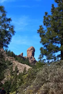 Images Dated 7th February 2016: Roque Nublo Natural Monument in Grand Canary island