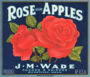 Brand Prints: Rose Brand Apples