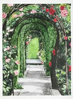 Images Dated 23rd March 2006: Rose-covered bower, front view