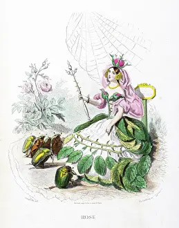 Grandville Prints: Rose flower - Stunning Hand-colored plate from 'Les Fleurs Animees by J