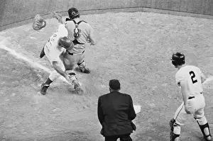 Rose Knocks Over Fosse