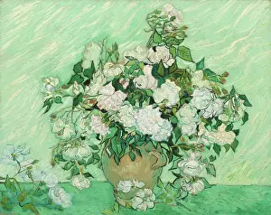 Low Countries Prints: Roses