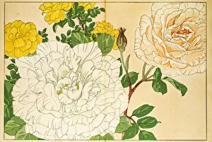 Floral Pattern Art Gallery: Roses japanese woodblock print