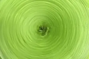 Blurrings Prints: Rotating fern (Osmunda regalis)