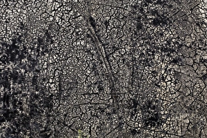 Tarmac Gallery: Rotted tar coating on a drum