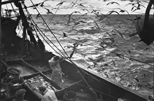 Fishing Boat Prints: Rough Seas