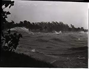 Hurricane Prints: Rough Water and Blowing Palm Trees