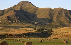 Bale Prints: Round Hay Bales in Field with Maluti Mountain Range Behind