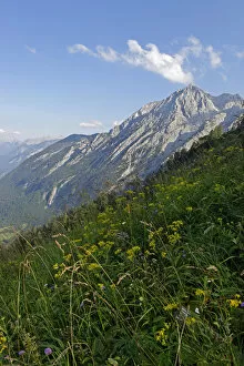 Route to Purtscheller House on Hohen Goll Mountain, with the Salzach Valley, Berchtesgadener Land district