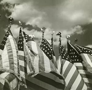 Images Dated 28th February 2008: Row of American flags