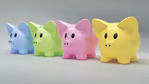 Images Dated 8th November 2012: A row of colorful piggy banks