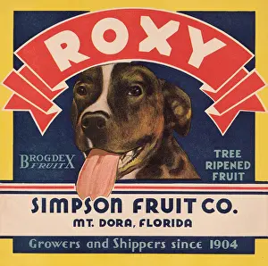 Florida Prints: Roxy Tree Ripened Fruit