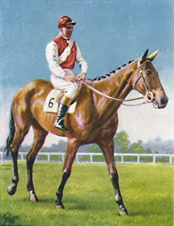 Racetrack Prints: Royal Danieli