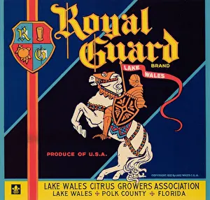 Knight Prints: Royal Guard Brand