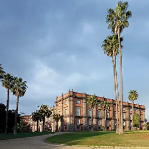 Palm Prints: Royal Palace of Capodimonte (Reggia di Capodimonte)