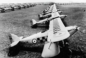 Lac0078 Prints: ROYAL PLANES MUSTER FOR REVIEW