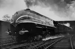 The Royal Scot