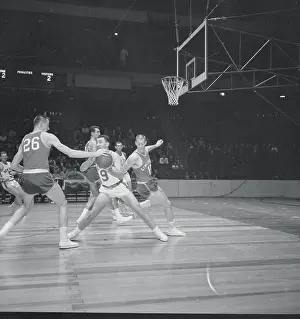 Royals and Knicks During Game