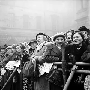 Barrier Prints: Royalty Watchers