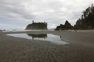Fork Prints: Ruby Beach, Forks, Olympic Peninsula, Washington, USA