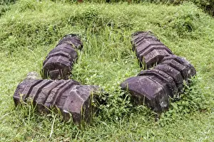Danang Prints: The ruined pillars with artistic carving texture