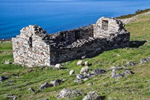 Ruins of 14th century church built by Vikings, Norsemen, Hvalsey, Greenland