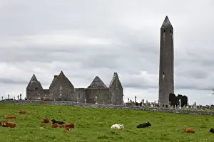Monasteries Prints: Ruins of Kilmacduagh Monastery, County Galway, Ireland, Europe