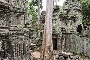 Images Dated 17th July 2006: Ruins of Ta Prohm temple