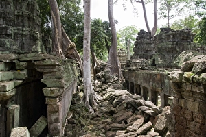 Images Dated 16th July 2006: Ruins of Ta Prohm temple