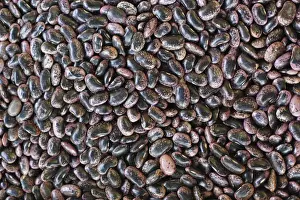 Vegetarian Prints: Runner beans, farmers market at Kaiser-Josef Platz square, Graz, Styria, Austria, Europe