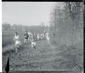 Runners During Race Through Van Cortland Park