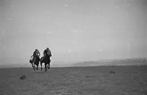 Running Colts