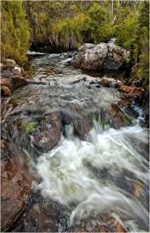 Images Dated 23rd July 2010: Running stream in the Hartz mountains national park, part of the world heritage wilderness, Tasmania