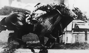 High Grain Prints: Running of the Travers at Saratoga