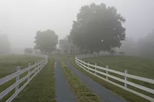 Mist Gallery: Rural country road