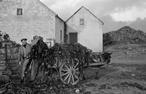 Rural Ireland