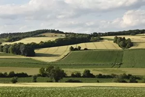 Hilly Landscape Gallery: Rural landscape near Grossmugl, Weinviertel, Wine Quarter, Lower Austria, Austria, Europe