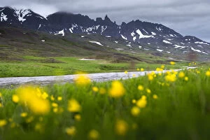 Images Dated 18th June 2014: Rural landscape scene of Iceland