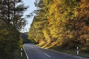 Images Dated 15th October 2011: Rural road FO40 in Aufsesstal, Franconian Switzerland, Upper Franconia, Franconia, Bavaria