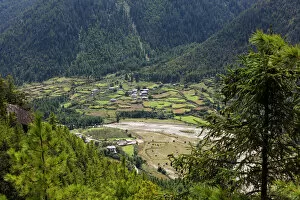 Lush Foliage Collection: Rural scene, Haa Valley, Bhutan