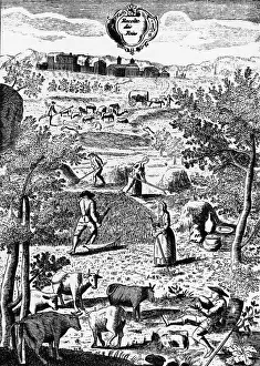 Copper Prints: Rural Scene Of Harvesting In France