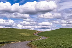 Images Dated 15th June 2016: Rural scene with winding road on cloudy day, Palouse, Washington State, USA