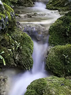 Images Dated 17th December 2011: Rushing water with moss green silk effect between