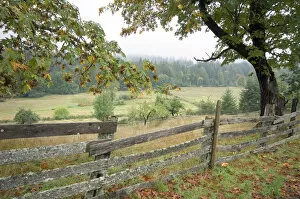 Rustic wooden fence on old farm, Cowichan Valley, British Columbia, Canada