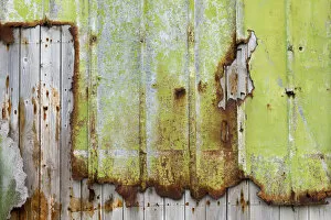 Picture Detail Collection: Rusty, bright green trim on wood wall, Faroe Islands, Faroe Islands, Denmark