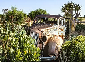 Images Dated 16th January 2014: Rusty vintage car surrounded by plants, Karas, Namibia