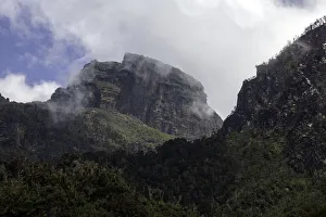 Images Dated 4th June 2012: Rwenzori Mountain National Park, Uganda