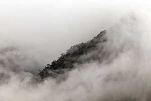 Rwenzori Mountains, Uganda