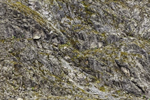 Images Dated 9th June 2012: Rwenzori Mountains, Uganda