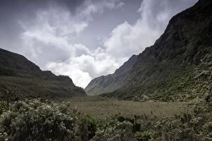 Images Dated 7th June 2012: Rwenzori Mountains, Uganda